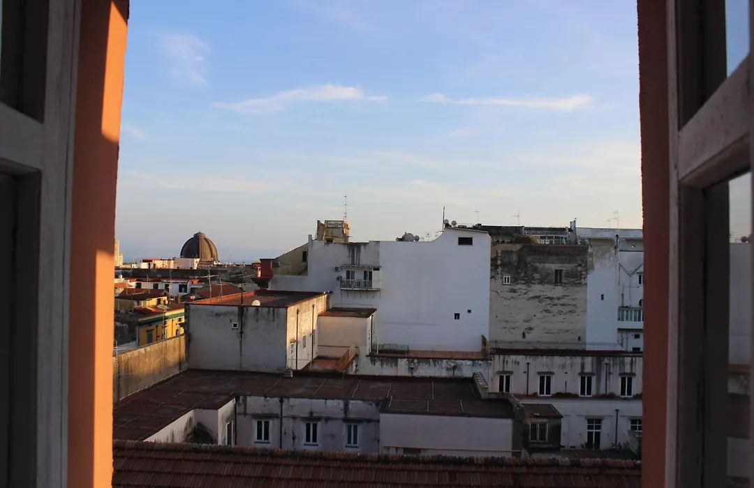 Domus Museum-1