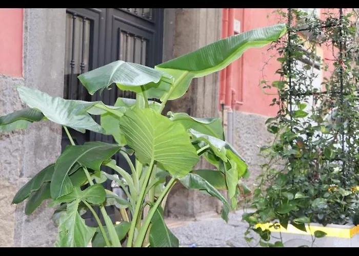 Barbaro Centro Di